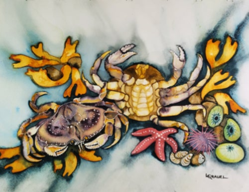 Original Paintings | Artist Cove Gallery